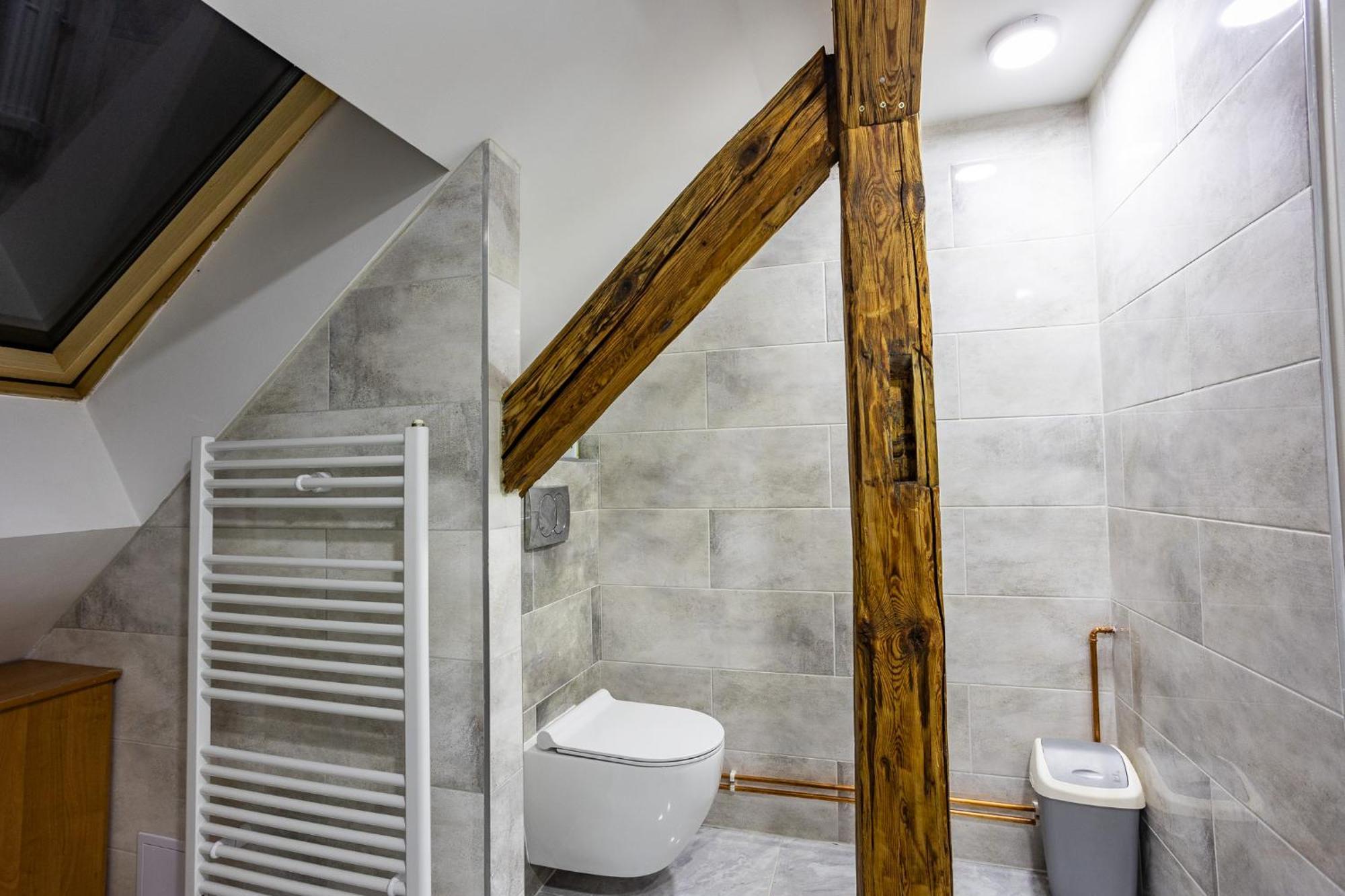 Apartman U Ljuby Jáchymov Dış mekan fotoğraf